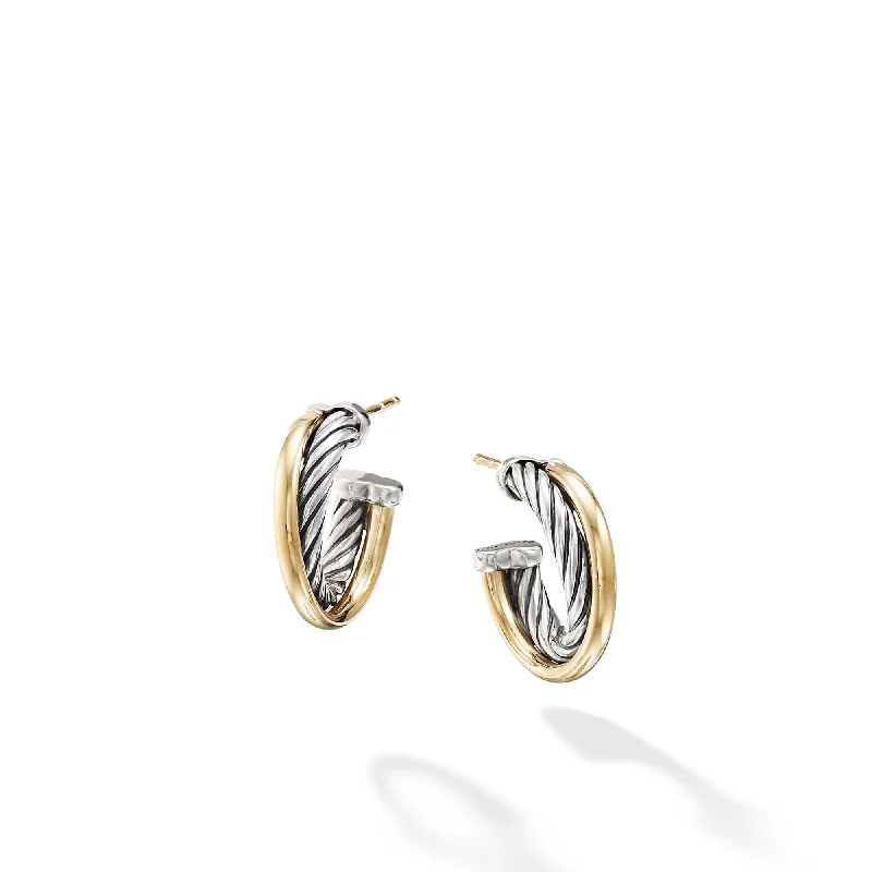 Hoop Earrings with 18K Gold